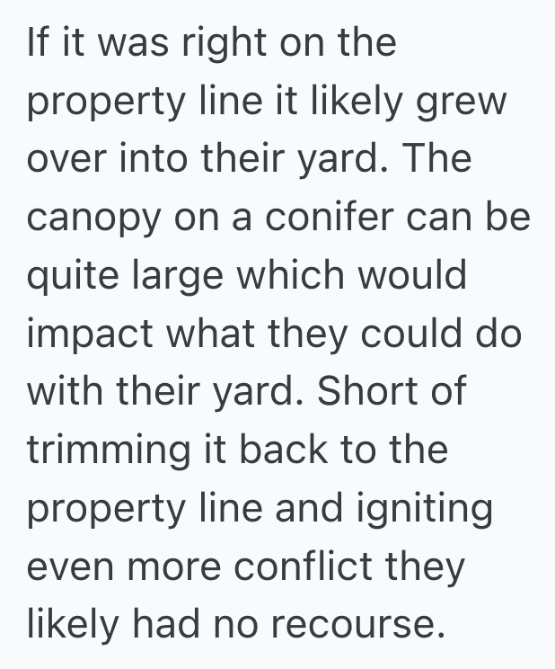 Screenshot 2025 07 08 at 4.58.18 PM Her Aunt Held Onto Petty Grudges With The Neighbors For Years, So When She Moved Out, Her Niece Quietly Let The Neighbors Remove The Tree They Hated